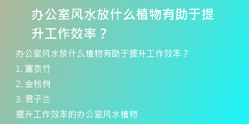 办公室风水放什么植物有助于提升工作效率？