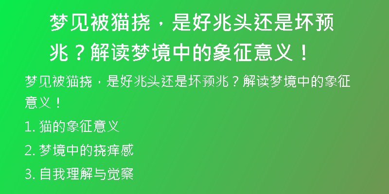 梦见被猫挠，是好兆头还是坏预兆？解读梦境中的象征意义！